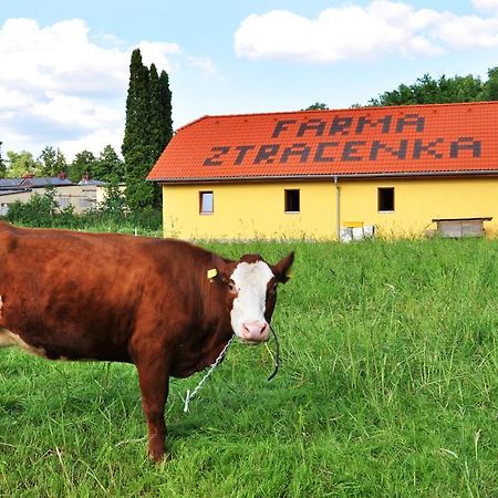 Farma Ztracenka Hotel Porici nad Sazavou ภายนอก รูปภาพ