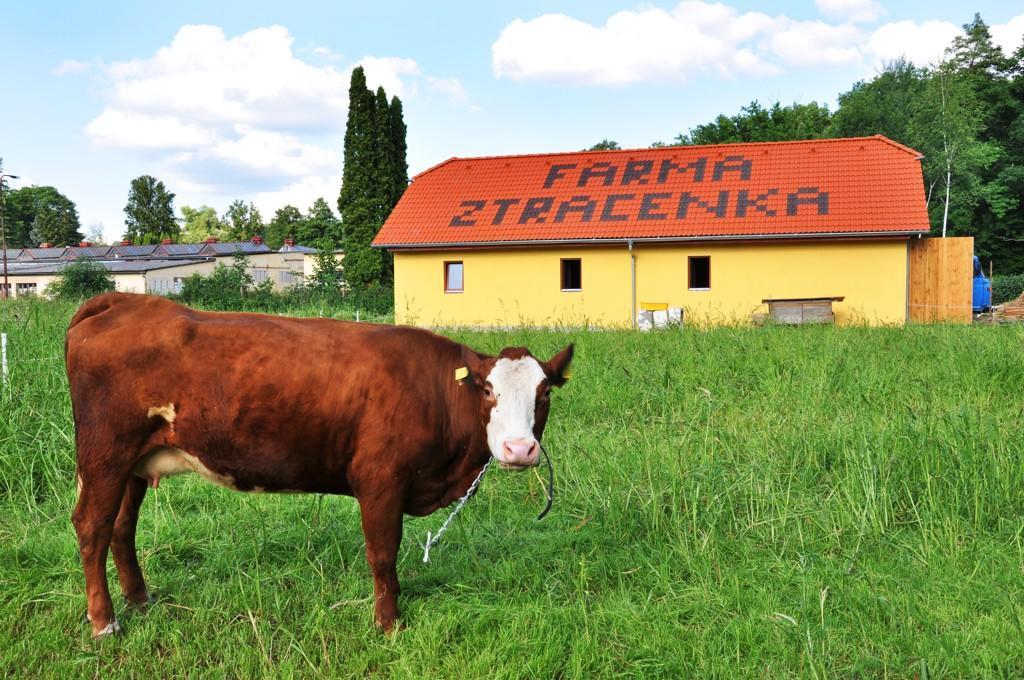 Farma Ztracenka Hotel Porici nad Sazavou ภายนอก รูปภาพ