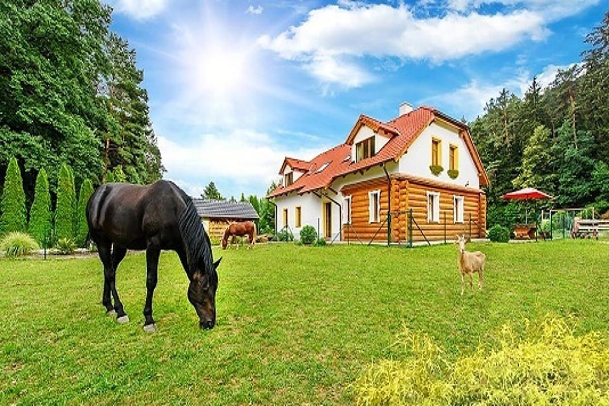 Farma Ztracenka Hotel Porici nad Sazavou ภายนอก รูปภาพ